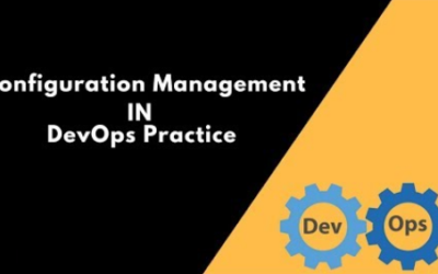 Harnessing Technology Strategy with Configuration & Release Management